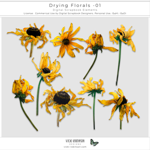 Drying Florals 01