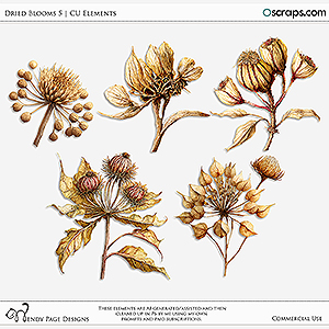 AI-Dried Blooms5 (CU) by Wendy Page Designs  