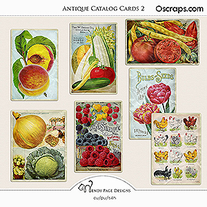 Antique Catalog Cards 2 (CU) by Wendy Page Designs