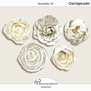 Flowers 78 (CU) by Wendy Page Designs