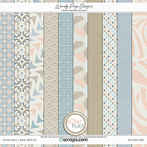 Little Bits June 2025 CP Papers by Wendy Page Designs