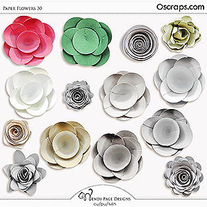 Paper Flowers 30 (CU) by Wendy Page Designs