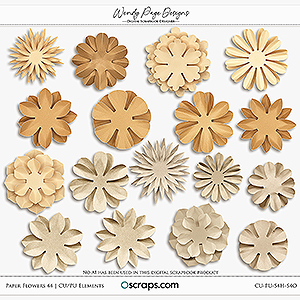 Paper Flowers 44 (CU) by Wendy Page Designs   