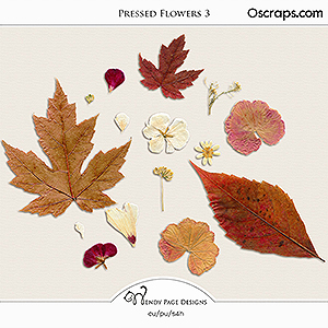 Pressed Flowers 3 (CU) by Wendy Page Designs