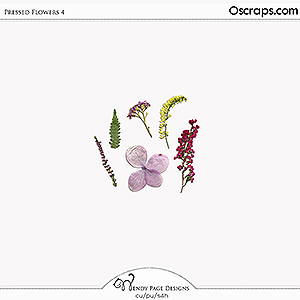 Pressed Flowers 4 (CU) by Wendy Page Designs