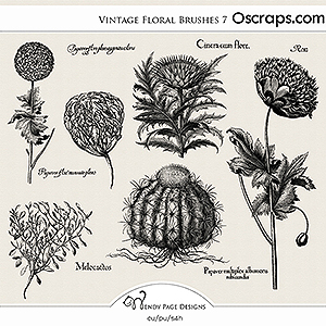 Vintage Floral Brushes 7 (CU) by Wendy Page Designs