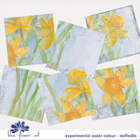 Experimental Watercolour - Daffodils