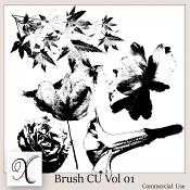  Brush Vol 1 CU 
