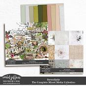 Serendipity | The Complete Mixed Media Collection by Rachel Jefferies