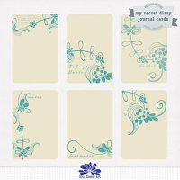 My Secret Diary journal/pocket cards