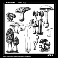 Mushrooms No. 1