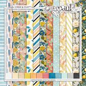 Citrus & Clay | Papers [Patterned+Solid] by Joyce Paul