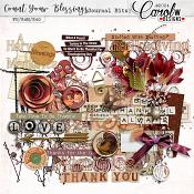 Count Your Blessings-Journal Bits
