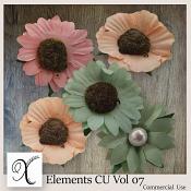 Elements Vol 7 CU