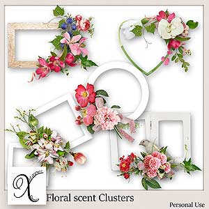 Floral Scent Clusters