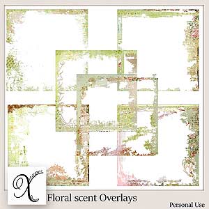 Floral Scent Overlays