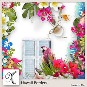 Hawaii Borders