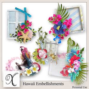 Hawaii Embellishments