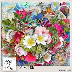 Hawaii Kit