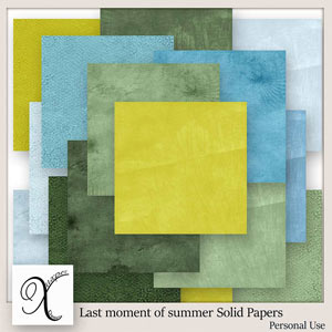 Last Moment Of Summer Cardstock