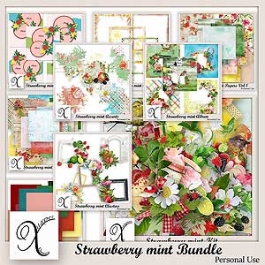 Strawberry Mint Bundle