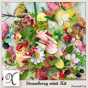 Strawberry Mint Kit