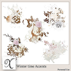 Winter Time Accents