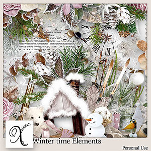 Winter Time Elements