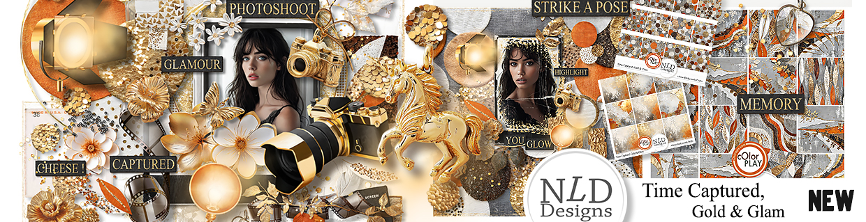 Digital Scrapbook Kit by NLD Designs