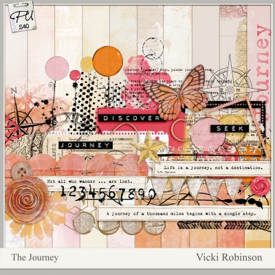 The Journey - Vicki Robnson